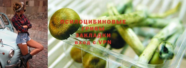 гидра Усмань