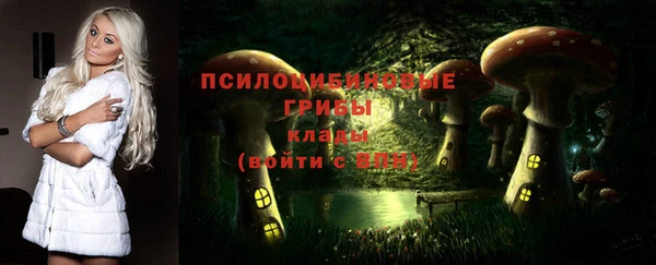 гидра Усмань