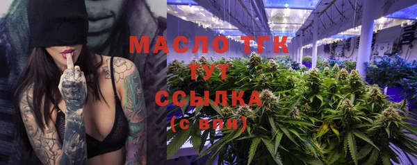 гидра Усмань