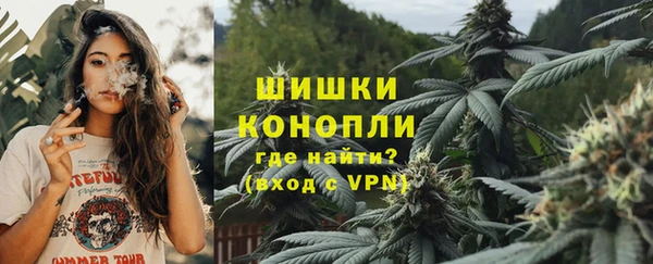 гидра Усмань