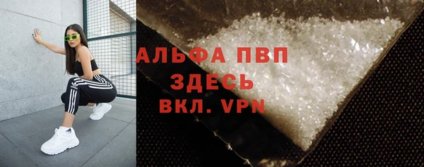 гидра Усмань